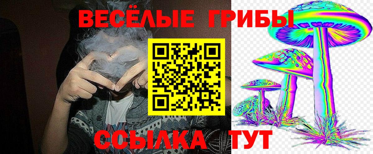 Галлюциногенные грибы MAGIC MUSHROOMS Видное